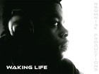 Picture for song 'Shakara (with Fela Kuti)' by artist 'OC (NSM)'