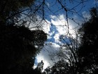 Picture for song 'Wolves' by artist 'Oh Apollo'