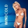 Picture for song 'Windcold' by artist 'Opdit Productions'