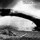 Picture for song 'Casino Ruins' by artist 'Pagan Scythe'