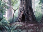 Picture for song 'Forest Creatures' by artist 'Painted Water'