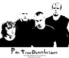 Picture for song 'The PTDI-Team (Intro)' by artist 'Palm Tree Death Incident'