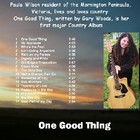 Picture for song 'Rain On My Parade' by artist 'Paula Wilson'