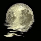Picture for song 'Moon on the water Cover Beck' by artist 'Pepe Amaya'