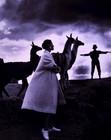 Picture for song 'CUANTO TIEMPO PASO' by artist 'PERUFOLK'