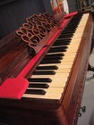 Picture for song '1853 Meloeon' by artist 'peter cree'