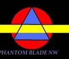 Picture for song 'n' by artist 'Phantom Blade NW'