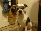 Picture for song 'C-skippah - Welcome To Cali Ft. Phat Tom' by artist 'Phat TOm aka Phat HomoCide'