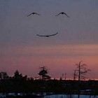 Picture for song 'Wonderful Something (Free Download)' by artist 'Pikk'