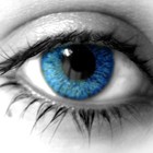 Picture for song 'Blue eyes / Safest you can get (2002)' by artist 'Pim van der Steen muziek'