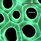 Picture for song 'Sentimental Cheese (version 1)' by artist 'Plasmodesmata'