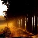 Picture for song 'September Nights' by artist 'Prairie Breeze'