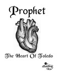 Picture for song 'Im Gone Shine' by artist 'Prophet The Heart Of Toledo'
