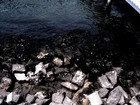 Picture for song 'Plutoxic' by artist 'Proselyter'