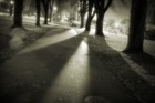 Picture for song 'Pureverb - Shadows' by artist 'pureverb'