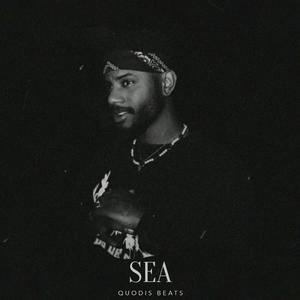 Picture for song 'Sea Bryson Tiller type beat dark r&b type beat' by artist 'Quodis'