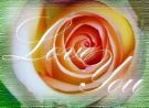 Picture for song 'Luv U' by artist 'Rakeem Andre'