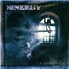 Picture for song 'Sinergy - Written in Stone solo' by artist 'Recordings of the Reaper'