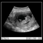 Picture for song 'All Wrong' by artist 'Reptile71'