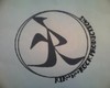 Picture for song 'Heath Featuring Rok- 5 Reasons' by artist 'Rik n ROK'