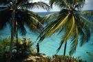 Picture for song 'In The Caribbean (2007)' by artist 'Robin And The Giant'