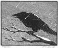 Picture for song '#144-Crow (1992)' by artist 'Rob Lincoln'
