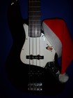 Picture for song 'Silent Night Bass Solo' by artist 'Rockhouse Xmas'