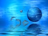 Picture for song 'Liquid Dreams' by artist 'RoeTaKa'