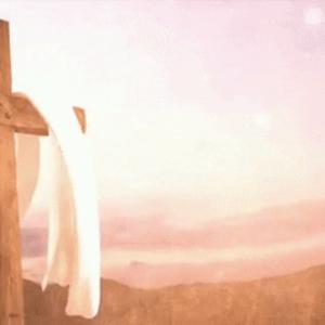 Picture for song 'HOLY PASSION' by artist 'Rosa A. Banks'