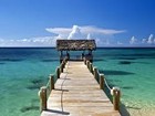 Picture for song '**Paradise**' by artist 'Rozart'