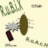 Picture for song 'Roach' by artist 'RubixKyube'