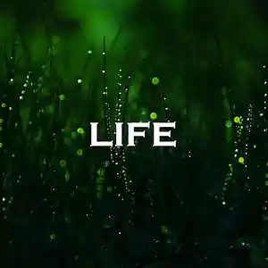 Picture for song 'Life' by artist 'SadGlad Music'
