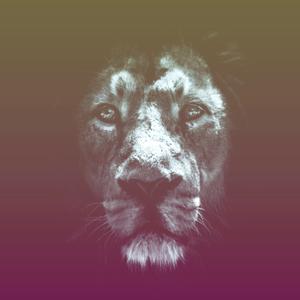 Picture for song 'Fearless l Kanye West x Gospel Type Beat' by artist 'SageBonkers'