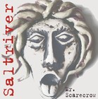 Picture for song 'Meaningless' by artist 'Saltriver'