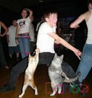 Picture for song 'Dance? - Sinais' by artist 'Samuel Catrin Music Projects'