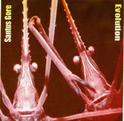 Picture for song 'Reverse Engineering' by artist 'Santus Gore (US)'