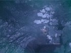 Picture for song 'To Sleep' by artist 'Scott Kingston'