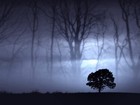 Picture for song 'nekromant ft. ringe- milina za dusu' by artist 'scrach'