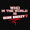 Picture for song 'Diamonds Remix-Sean Breezy & Change' by artist 'seanbreezy'