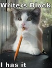 Picture for song 'DON'T KNOW WHAT TO WRITE' by artist 'SEAN CHRIST'