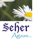 Picture for song 'Seher_demo version' by artist 'SEHER'