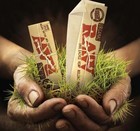 Picture for song 'RAW' by artist 'Sep Entertainment'
