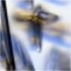 Picture for song 'Lament' by artist 'Seven Chapters'
