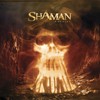 Picture for song 'IN THE DARK' by artist 'SHAMAN BAND'