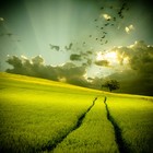 Picture for song 'El Rumba' by artist 'Shan G (SA)'