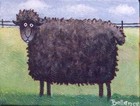 Picture for song 'Black Sheep' by artist 'Shawn Needham'