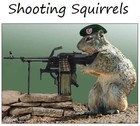 Picture for song 'Sample of shooting squirrels' by artist 'Shooting Squirrels'
