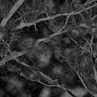 Picture for song '3 AM Philosophy' by artist 'Shyler Ford'