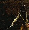 Picture for song 'Silent Hill' by artist 'Sibyll Sewarte'