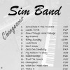 Picture for song 'What Do I Need More' by artist 'Sim Band'
